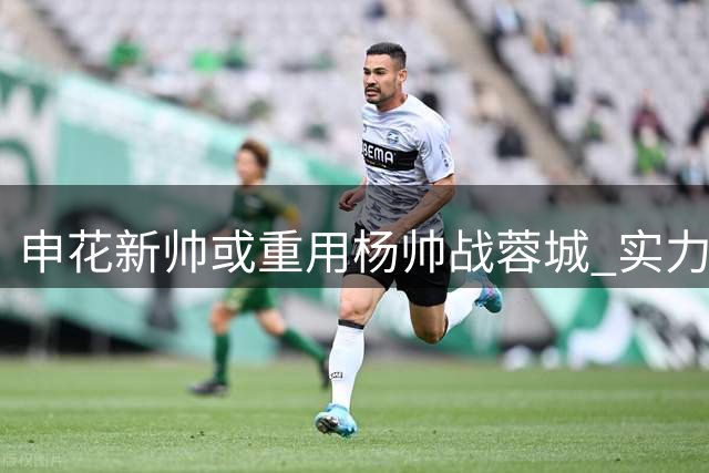 申花新帅或重用杨帅战蓉城 实力中卫迎正名良机